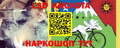 СК Ярославль