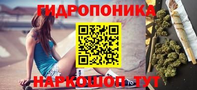 СК Ярославль