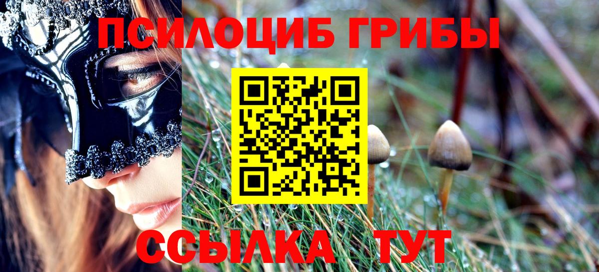 Галлюциногенные грибы прущие грибы  наркошоп  Псилоцибиновые грибы мухоморы  Белорецк  Вход с VPN 